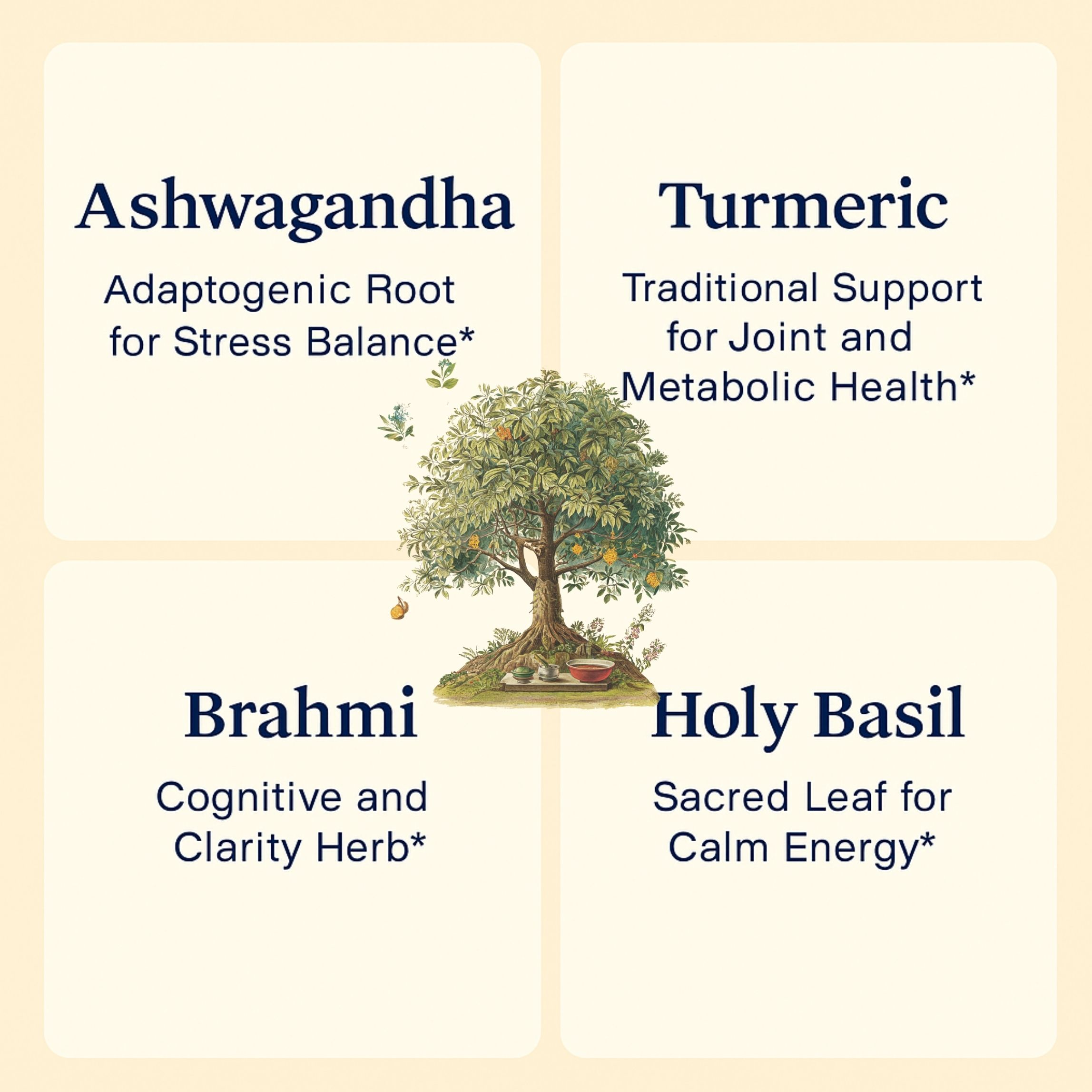 Full Batch Test Results — Ayurvedic Complex